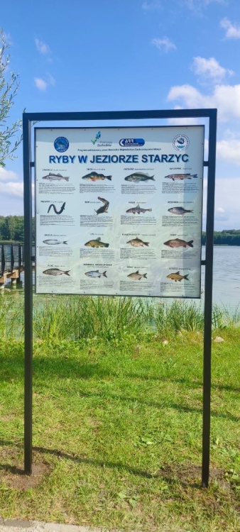 tablica spolecznik 2